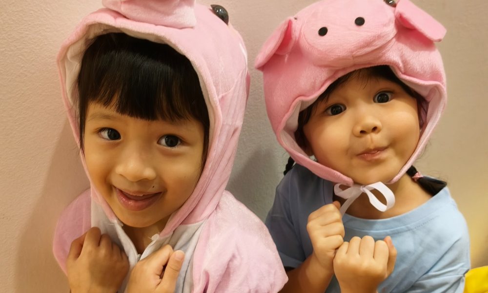 Life CCC- pigs
